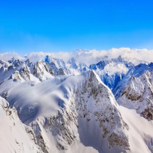 Arborberg Snow Plains