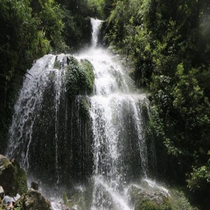 Bonadwell Rapids